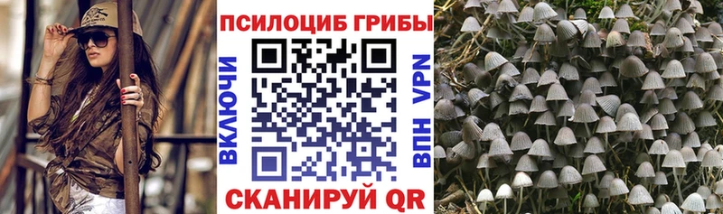 Галлюциногенные грибы Magic Shrooms  площадка наркотические препараты  Ульяновск  ссылка на мегу зеркало 